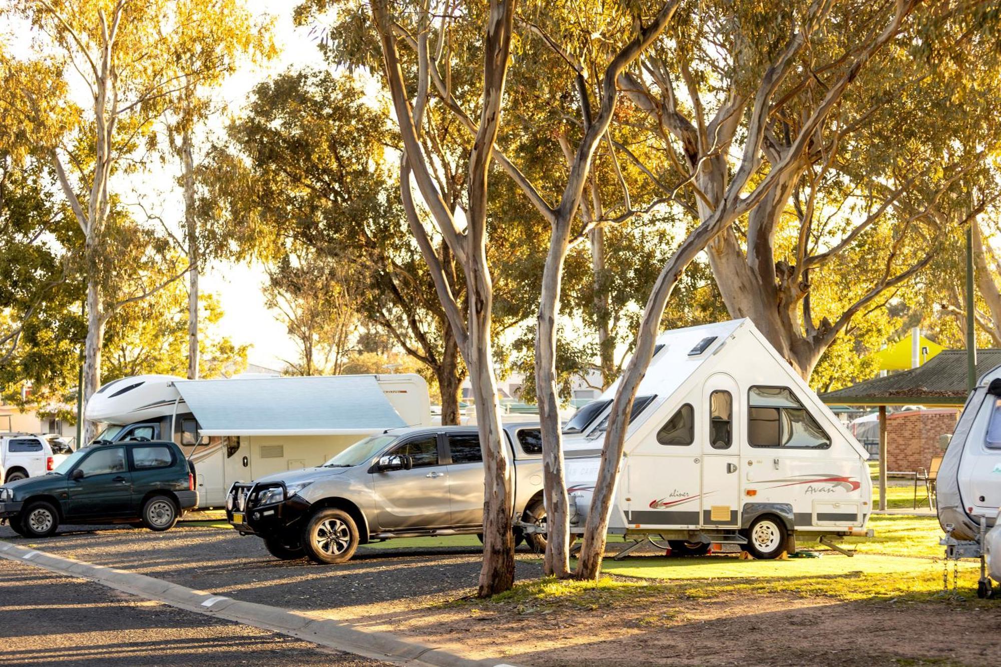 Big4 Mudgee Holiday Park Εξωτερικό φωτογραφία